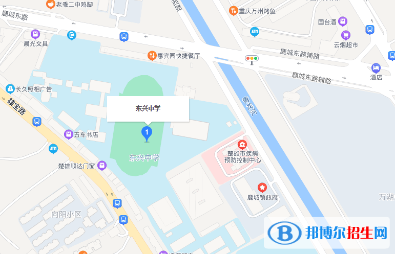 楚雄东兴中学地址在哪里