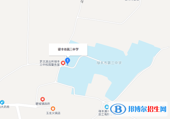 禄丰第三中学地址在哪里