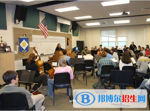 新虹桥中学国际部2022年课程体系