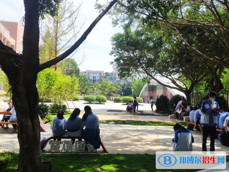 双流中学实验学校2022年招生代码