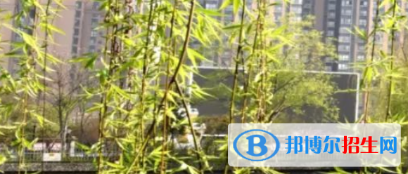 成都2022年有哪些公办汽修学校