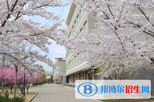 北京园林学校2022年招生录取分数线