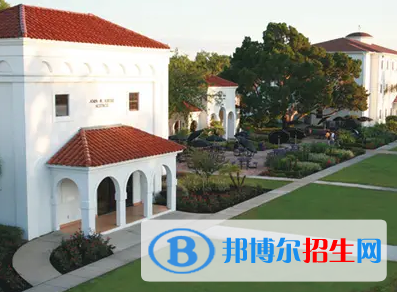  美中美育美国高中2022年课程体系