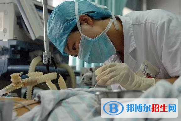 甘肃2022年哪些学校有卫校