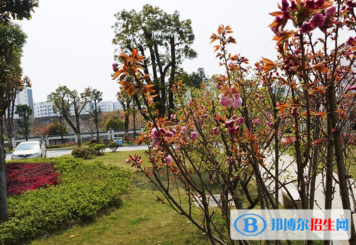 微信截图_20220328135328