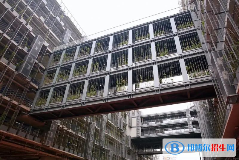  深圳国际交流学院2023年报名时间