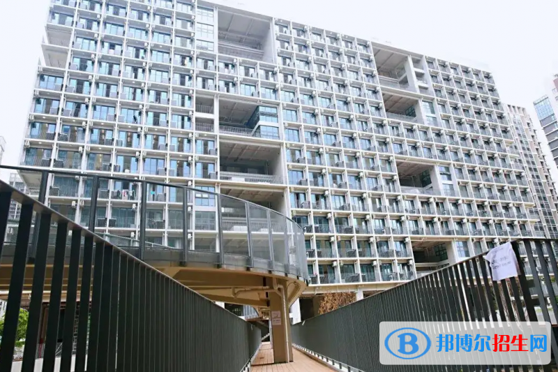  深圳国际交流学院2023年入学考试