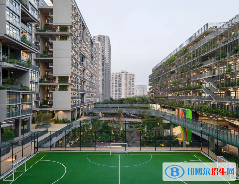  深圳国际交流学院怎么样