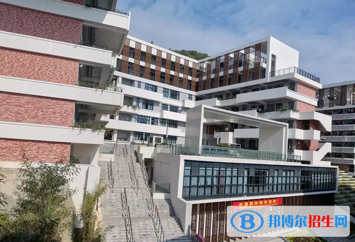  深圳桃源居中澳实验学校2023年招生政策