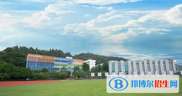  深圳桃源居中澳实验学校2023年入学考试