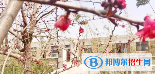 山东世纪艺术学校2022年宿舍条件