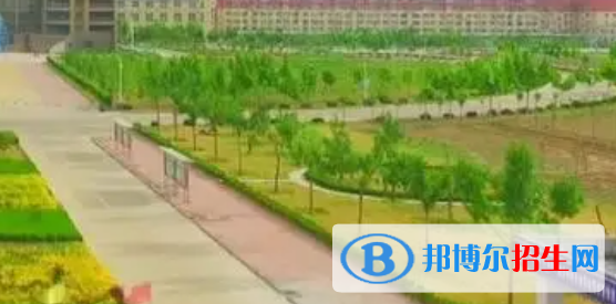 无棣县职业中等专业学校网站网址