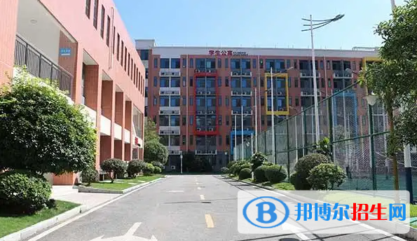 广东碧桂园(IB国际)学校怎么样