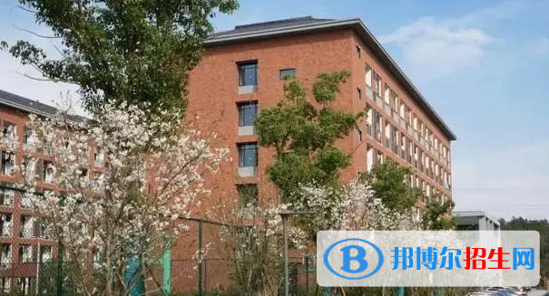 新通A-Level国际高中2022年课程体系