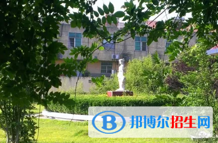 新通A-Level国际高中怎么样
