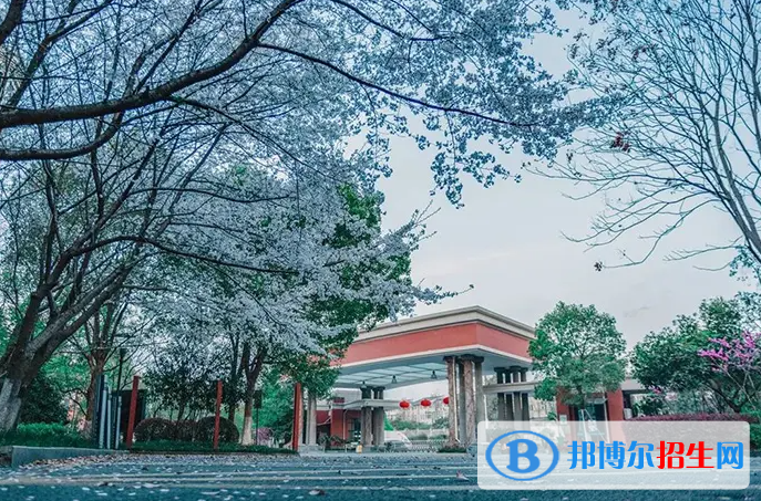 杭州英特外国语学校怎么样