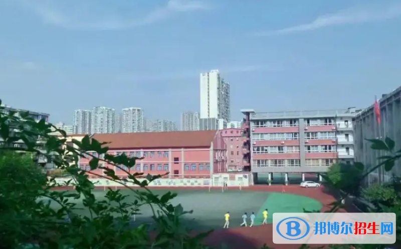 成都七中万达学校国际部怎么样