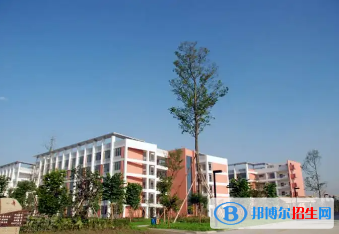 树德中学国际部2022年招生政策