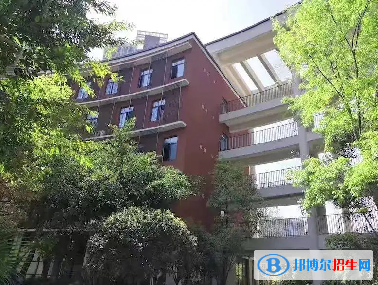 树德中学国际部2022年课程体系