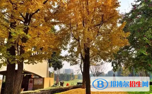 成都麓山国际光亚学校高中部2022年学费标准