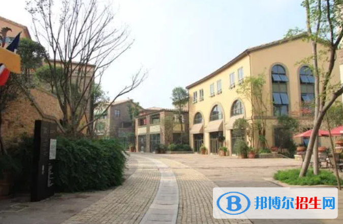 成都麓山国际光亚学校高中部2022年课程体系