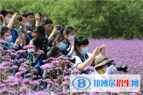 乐清雁荡山旅游学校有哪些专业