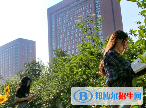 重庆2022年哪所建筑学校就业好