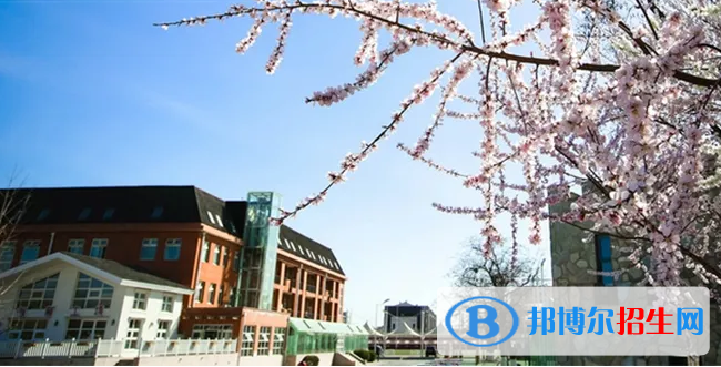北京海淀国际学校高中部2023年入学条件