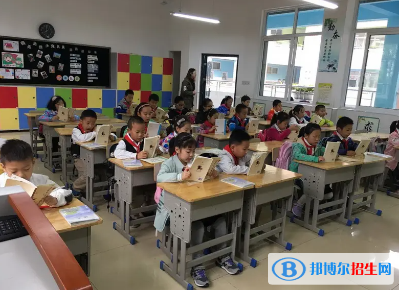 北京阳光情国际学校靠谱吗