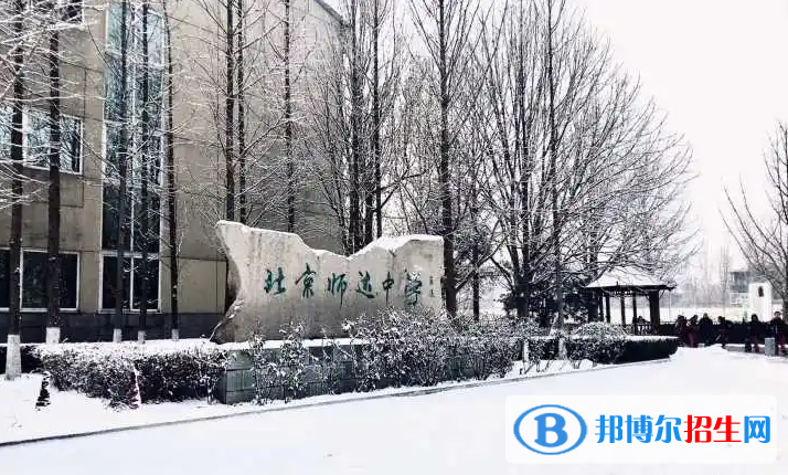 北京市师达中学国际部2023年入学条件