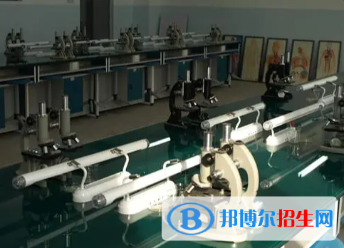 天津第十四中学国际高中2022年课程体系