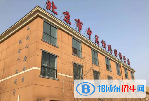北京中关村外国语学校初中部2023年录取分数线
