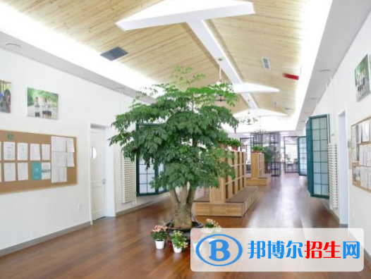 北京私立树人瑞贝学校初中部2023年报名时间