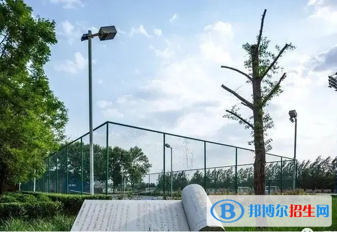 北京新英才国际学校小学部怎么样