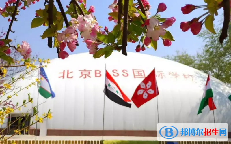北京BISS国际学校小学部2023年招生政策