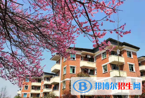 学校10