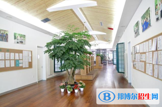 北京私立树人瑞贝学校小学部2023年入学条件
