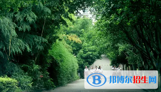 重庆2023年中专和幼师学校哪个好