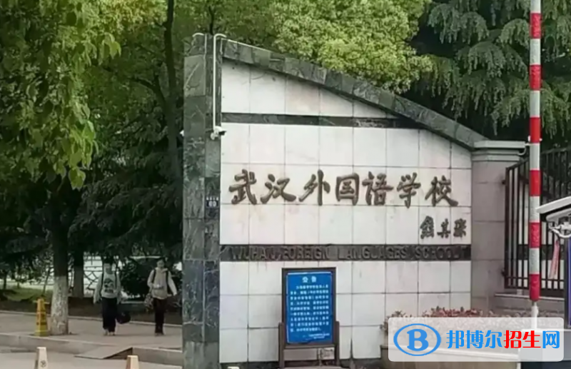 武汉外国语学校2023年录取分数线2