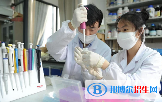 兰州2023年卫校都哪些专业