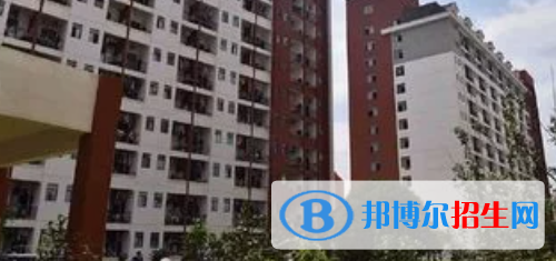 学校2