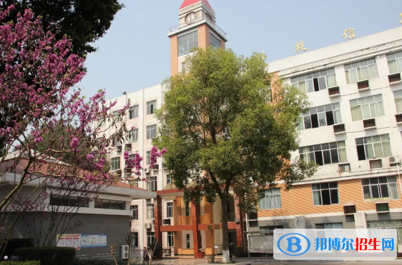 重庆2023年技术幼师学校哪家好
