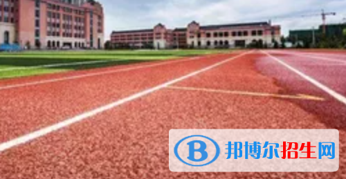 学校37