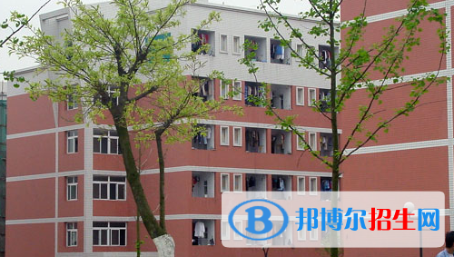 学校11