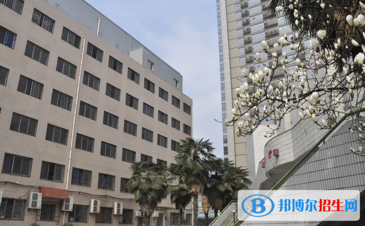 陕西2023年初中毕业可以读中专吗