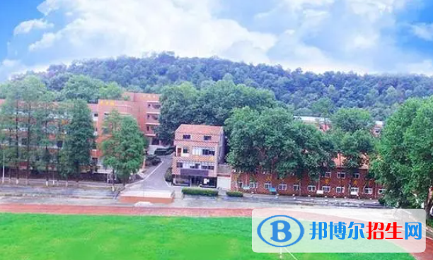 武汉海淀外国语实验学校初中部2023年学费标准2