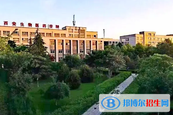 陕西2023年中专学校好还是大专好