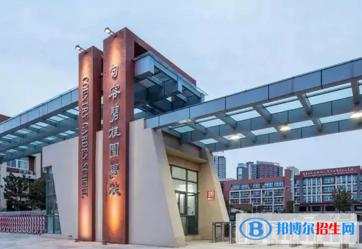 广东碧桂园(IB国际)学校初中部2023年入学条件2