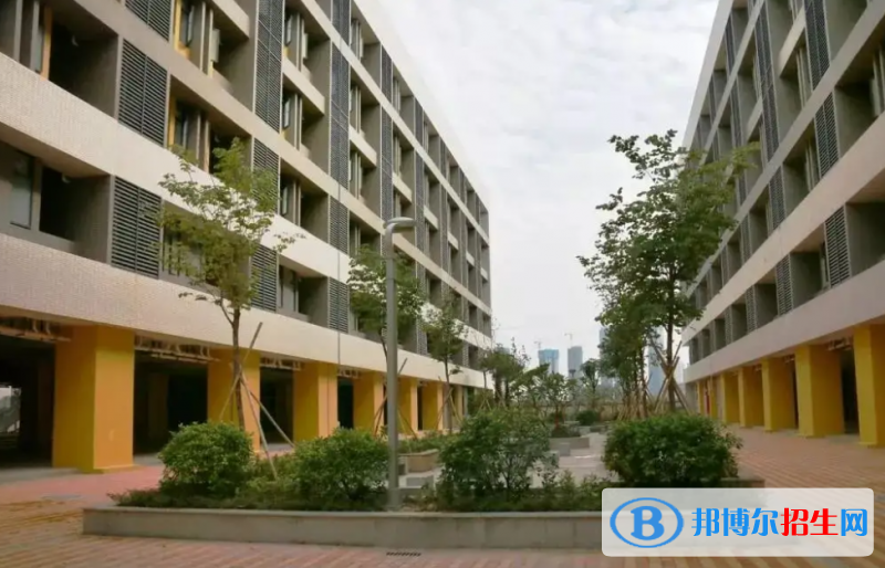 佛山外国语学校国际初中部2023年录取分数线