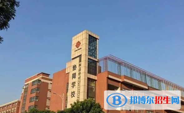 佛山协同国际学校2023年招生政策2